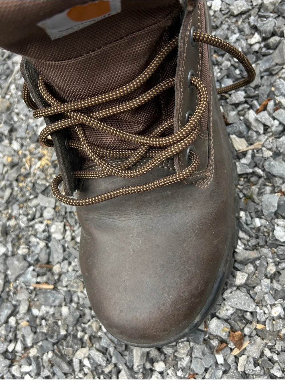 Carhartt Men's CMF6284 6